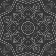 Floral abstract ornament vector illustration N2