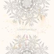 Floral abstract ornament vector illustration N8