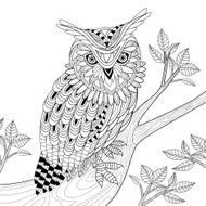 Wise Owl N6