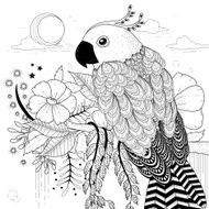 lovely parrot