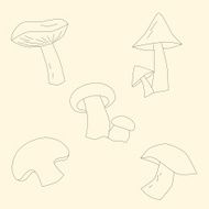 Mushrooms outline vector illustration