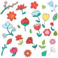 Different color flowers vector illustration