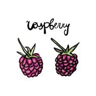 Raspberry in doodle style