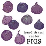 Set of hand drawn colorful sketchy figs