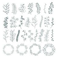 hand draw flower elements set