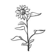 Doodle sunflower N2