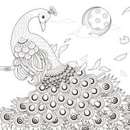 graceful peacock coloring page