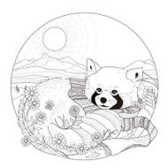 lovely raccoon coloring page