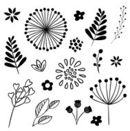 Floral and Leaf Elements Set N2