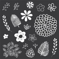 Chalkboard Floral and Leaf Elements Set