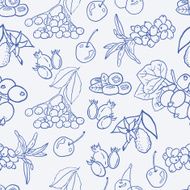 Seamless vector pattern with berries for autumn beverages N2