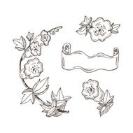 Bellflowers Vector set of Hand Drawn Doodles flowers and banner