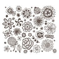 Flowers Vector set of Hand Drawn Doodles flowers