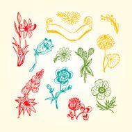 Colourful Wildflowers Vector set of Hand Drawn Doodles flowers banner