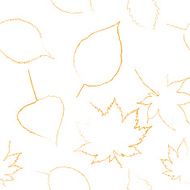 Autumn leaves are drawn with chalk on black chalkboard N2