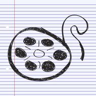 Simple doodle of a film reel N3