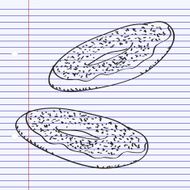 Simple doodle of a doughnut N3
