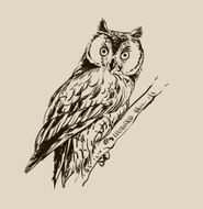 Owl hand drawn black and white N3