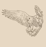 Owl hand drawn black and white N4