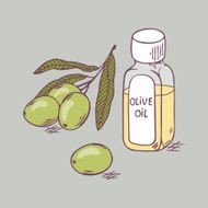 Olive oil in bottle with branch close up Doodle illustration