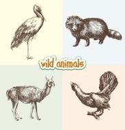 Wild Animals N9