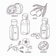 Healthy oil set in outline style Coconut walnut olive corn