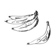 Simple doodle of a banana N4