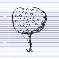 Simple doodle of a golf ball