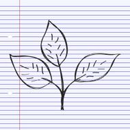 Simple doodle of a leaf N2