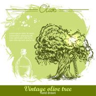 Vintage hand drawn olive tree and oil botlle