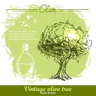 Vintage hand drawn olive tree and oil botlle N2