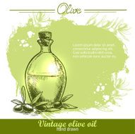 Vintage olive oil bottle with olives