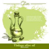 Vintage olive oil bottle with olives N2