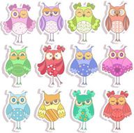 Set of multicolored beautiful owls N3