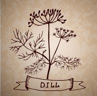 Dill herb with leaf and flower isolated