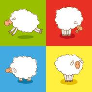 Four White Sheeps Isolated on colored background
