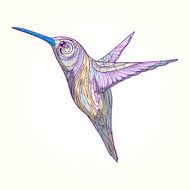 Hummingbird with abstract ornament hand drawn vector illustratio N4