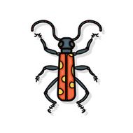 bug doodle