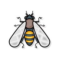 bug doodle N12