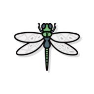 bug doodle N13