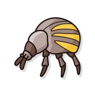 bug doodle N16