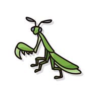 bug doodle N19