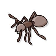 bug doodle N24
