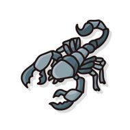bug doodle N25