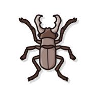 bug doodle N29