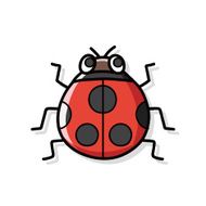 bug doodle N31