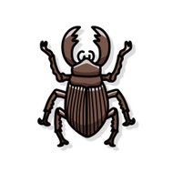 bug doodle N36
