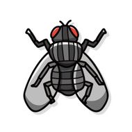bug doodle N40