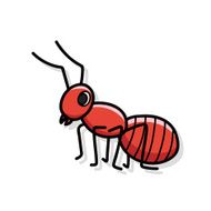 bug doodle N42