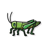 bug doodle N43